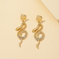 Fashion S Serpentine Earrings main image 2