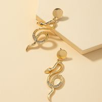 Fashion S Serpentine Earrings main image 4