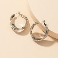 Wholesale Metal Fashion S925 Silver Needle Earrings main image 5