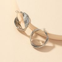 Wholesale Metal Fashion S925 Silver Needle Earrings sku image 4