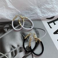 Oval Fashionable Earrings main image 5