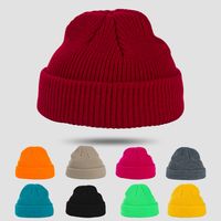 Exclusive For Cross-border Spot Goods Solid Color Knitted Hat Women's Autumn And Winter Warm All-matching Skullcap Korean Style Beanie Hat Woolen Cap Men's Fashion main image 1