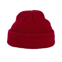 Exclusive For Cross-border Spot Goods Solid Color Knitted Hat Women's Autumn And Winter Warm All-matching Skullcap Korean Style Beanie Hat Woolen Cap Men's Fashion main image 3