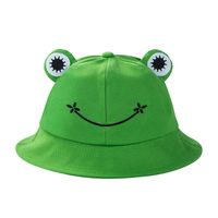 Fisherman Hat Korean Version Cute Art Frog Smile Embroidery Sun Hat Warm Basin Hat main image 3