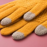 Korean Style Knitting Wool Gloves Women's Autumn And Winter Knitting Gloves Men's Deer Jacquard Touch Screen Warm Thickened Outdoor Riding Rice Grain main image 5