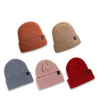 Autumn New Woolen Cap Women's Simple Fashionable Warm Ear Protection Leather Ring Cold Hat Japanese Style All-matching Knitted Hat Men main image 3