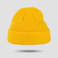 Exclusivo Para Productos De Punto Cruzado Sombrero De Punto De Color Sólido Para Mujer Otoño E Invierno Cálido Todo A Juego Gorro De Lana De Estilo Coreano Gorra De Hombre De Moda sku image 2