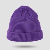 Korean Hat Knitted Hat Wild Wool Hat Solid Color Ear Protection Warm Cold Hat Tide sku image 3