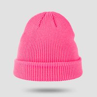Korean Hat Knitted Hat Wild Wool Hat Solid Color Ear Protection Warm Cold Hat Tide sku image 6
