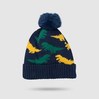 Cartoon Dinosaur Children's Hat Autumn And Winter Cute Plus Velvet Warm Baby Knitted Hat sku image 3