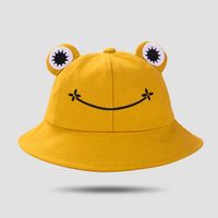 Fisherman Hat Korean Version Cute Art Frog Smile Embroidery Sun Hat Warm Basin Hat sku image 3