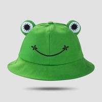 Fisherman Hat Korean Version Cute Art Frog Smile Embroidery Sun Hat Warm Basin Hat sku image 5