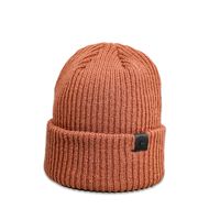 Autumn New Woolen Cap Women's Simple Fashionable Warm Ear Protection Leather Ring Cold Hat Japanese Style All-matching Knitted Hat Men sku image 9