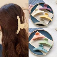 Cream Color Catch Clip Ins Simple Hair Catch Sweet Plate Hair Clip Back Of Head Hair Clip Hair Accessories main image 4