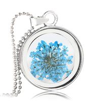 Plant Dried Flower Gypsophila Necklace Time Gemstone Handmade Glass Spherical Necklace main image 4