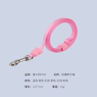 Psm Nylon Pet Hand Holding Rope Solid Color Dog Dog Traction Rope Candy Color Hand Holding Rope Cross-border Pet Supplies main image 5