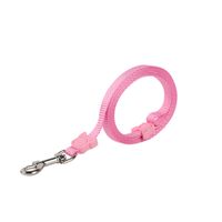 Psm Nylon Pet Hand Holding Rope Solid Color Dog Dog Traction Rope Candy Color Hand Holding Rope Cross-border Pet Supplies main image 6