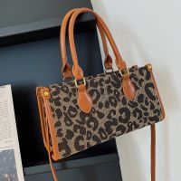 Large-capacity Handbags Bags 2021 New Fashion Niche Design Messenger Leopard Print Texture Portable Large Bag main image 5