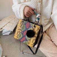Contrast Color Snake Pattern Women's Bag New 2020 Autumn And Winter Korean Style Fashion Bag Shoulder Bag Crossbody Silk Scarf Portable Small Square Bag main image 1