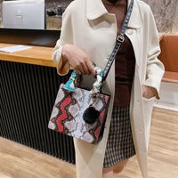 Contrast Color Snake Pattern Women's Bag New 2020 Autumn And Winter Korean Style Fashion Bag Shoulder Bag Crossbody Silk Scarf Portable Small Square Bag main image 6