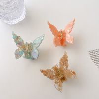 Korea Acetat Blatt Fresh Color Catch Clip Große Schmetterlings-haarnadel Mädchen Prinzessin Hair Catch main image 3