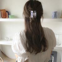Automne/hiver Nouveau Style Coréen Acrylique Cheveux Accessoires Fille Épingle À Cheveux Moyen Percé Qualité De L'air Femme Cheveux Attraper main image 6