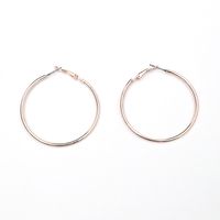 New Fashion Exaggerated Acrylic Alloy Circle 2-piece Set Of European And American Simple Earrings main image 6