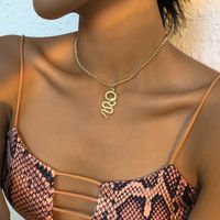 European And American Cross-border Jewelry Single-layer Simple Punk Snake-shaped Necklace Retro Necklace main image 3