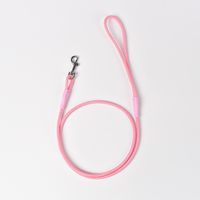 Psm New Dog Hand Holding Rope Dog Leash Dog Chain Golden Retriever Rope Pet Supplies Nylon Reflective Comfortable sku image 2