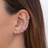 Sterling Silver Needle Europe And America Cross Border Ins Snake-shaped Diamond-embedded Small Animal Mix And Match Simple Stud Earrings Women's Fashion Trend main image 3