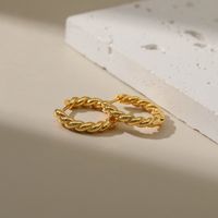 Classic Twist Woven Earrings Niche Design Twisted Texture Circle 18k Earrings main image 4