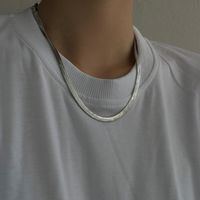 Titanium Steel Flat Snake Bone Chain Hip Hop Retro Clavicle Chain Personality Necklace main image 6