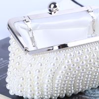 Pearl Evening Bag Clutch Dress Evening Bag Handmade Bead Embroidered Bag main image 5