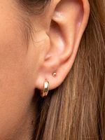 European And American Jewelry Wholesale Geometric U-shaped Earrings Personality main image 4