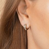 Sterling Silver Needle European And American Fashion Satine C- Shaped Semicircle Inlaid Zircon Ear Clip Earrings Advanced Retro Style Epoxy Earrings main image 5