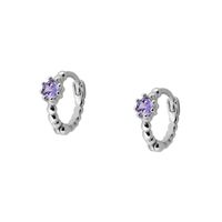 Foreign Trade European And American C-shaped Earrings Purple Zircon Earrings S925 Silver Needle Earrings Set sku image 6