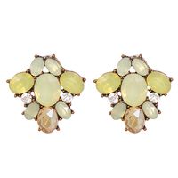 50951 Jujia Ornament New Inlaid Ear Studs European And American Personalized Female Fresh Earrings Factory Cross-border Direct Sales sku image 1