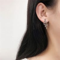 European And American Diamond-studded Snake-shaped Earrings Geometric Metal Zodiac Snake Element Earrings main image 5