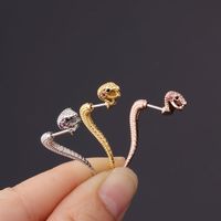 Ear Cartilage Rings & Studs Fashion Snake 316 Stainless Steel  Plating main image 1