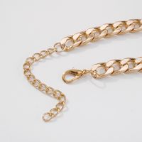 European And American Style Exaggerated Thick Chain Necklace main image 5