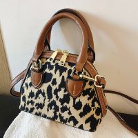 Autumn And Winter Popular Leopard Crossbody Bag 2021 New Trendy Handbag Small Bag main image 1