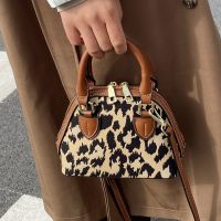 Autumn And Winter Popular Leopard Crossbody Bag 2021 New Trendy Handbag Small Bag main image 4