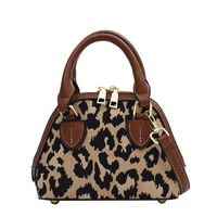 Autumn And Winter Popular Leopard Crossbody Bag 2021 New Trendy Handbag Small Bag main image 3