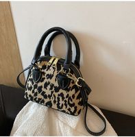 Autumn And Winter Popular Leopard Crossbody Bag 2021 New Trendy Handbag Small Bag sku image 1