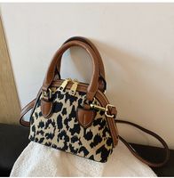 Autumn And Winter Popular Leopard Crossbody Bag 2021 New Trendy Handbag Small Bag sku image 2
