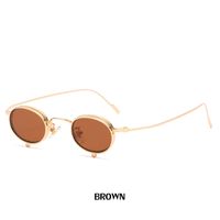 Gafas De Sol Retro Steampunk De Estilo Europeo Y Americano Con Montura Pequeña, Personalizadas, De Hip Hop, Con Montura Redonda, Gafas De Sol De Moda Para Mujer sku image 9