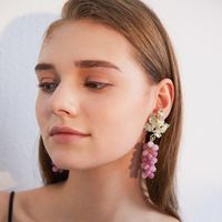 Cute Three-dimensional Simulation Grape Earrings European And American Fashion Fruit Earrings main image 3