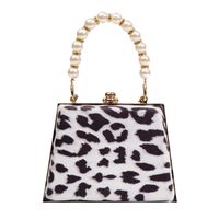 Elegant Bag Women's Bag 2021 Autumn And Winter New Elegant And Generous Fashion Chain Style Cows Pattern Small Square Bag main image 6