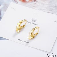 Korean Temperament Personality Wild Star Earrings Fashion Simple Earrings Ear Jewelry main image 4