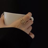 Korean Version Fashion Geometric Flower Ring Simple Hollow Double Layer Index Finger Ring Retro Zircon Ring main image 4